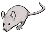 Christmas Eve Mouse